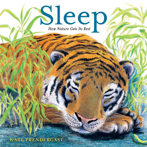 Book cover for Sleep: How Nature Gets Its Rest