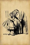 Book cover for Alice in Wonderland Journal - Alice and The Secret Door