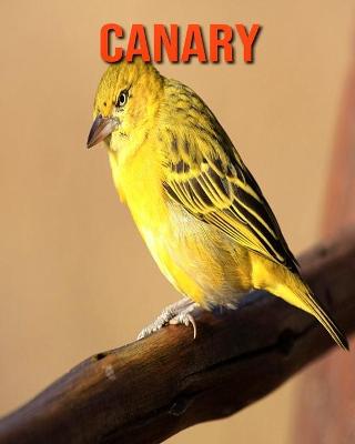 Book cover for Canary