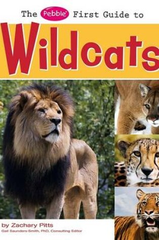 Cover of Wild Cats