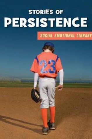 Cover of Stories of Persistence