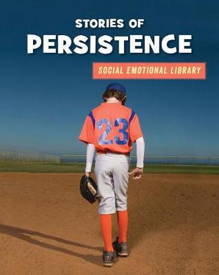 Cover of Stories of Persistence