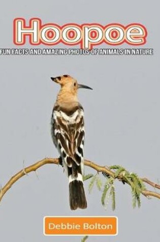 Cover of Hoopoe