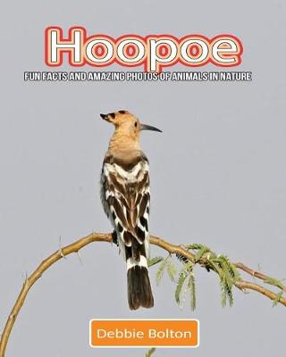 Book cover for Hoopoe