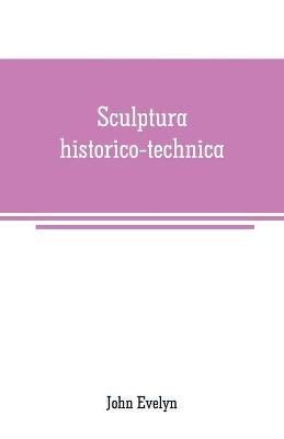 Book cover for Sculptura historico-technica