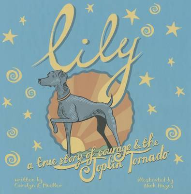 Book cover for Lily