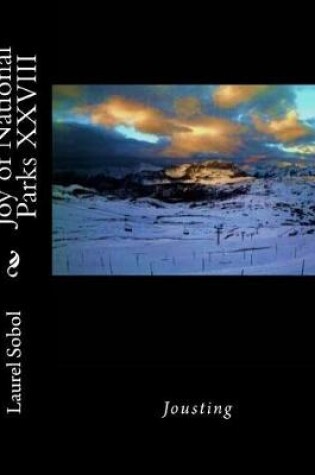 Cover of Joy of National Parks XXVIII