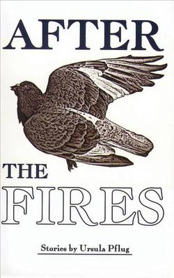 Book cover for After the Fires