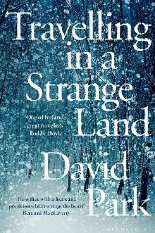Cover of Travelling in a Strange Land