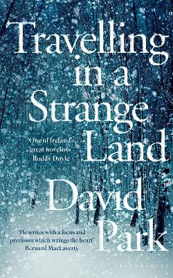 Book cover for Travelling in a Strange Land