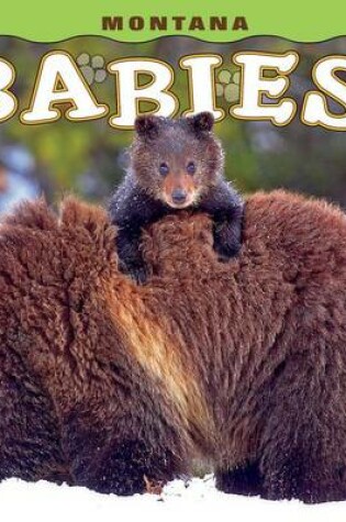 Cover of Montana Babies!