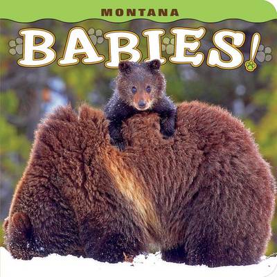 Book cover for Montana Babies!