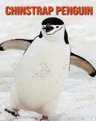 Book cover for Chinstrap Penguin