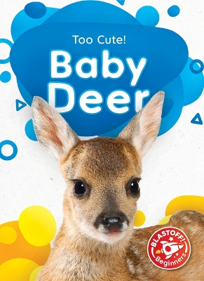 Cover of Baby Deer