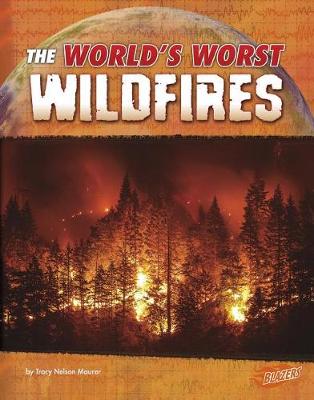 Book cover for Worlds Worst Wildfires (Worlds Worst Natural Disasters)