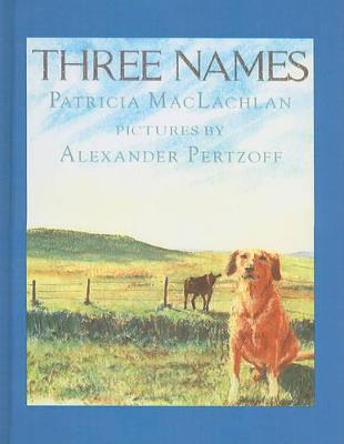 Book cover for Three Names