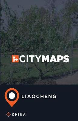 Book cover for City Maps Liaocheng China