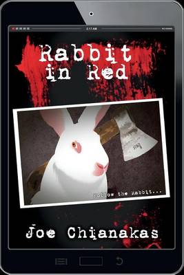 Book cover for Rabbit in Red