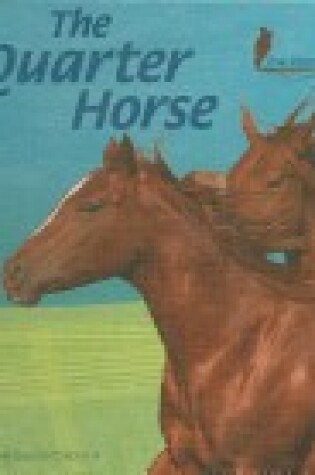 Cover of The Quarter Horse