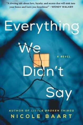 Cover of Everything We Didn't Say