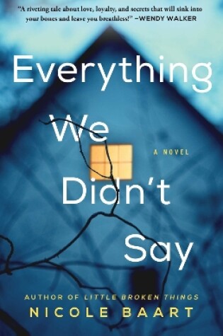 Cover of Everything We Didn't Say