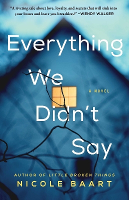 Everything We Didn't Say by Nicole Baart