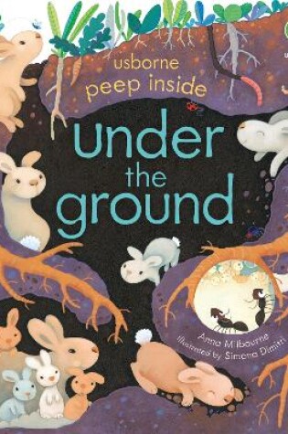Cover of Peep Inside Under the Ground