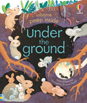 Book cover for Peep Inside Under the Ground