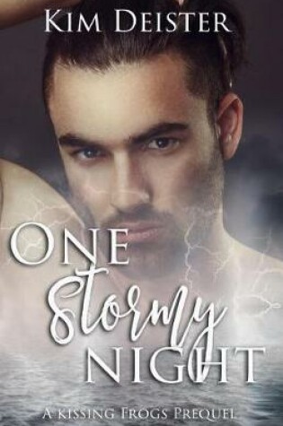 Cover of One Stormy Night