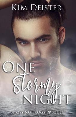 Cover of One Stormy Night