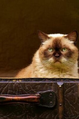 Cover of Grumpy Cat in a Trunk Journal