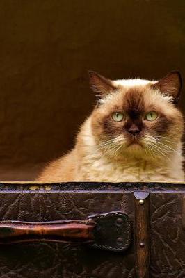 Book cover for Grumpy Cat in a Trunk Journal