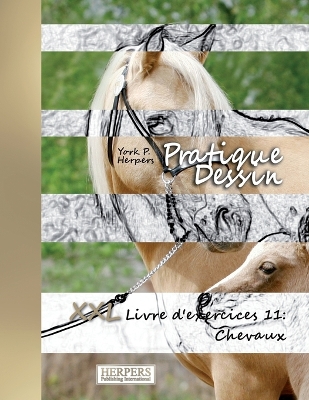 Book cover for Pratique Dessin - XXL Livre d'exercices 11