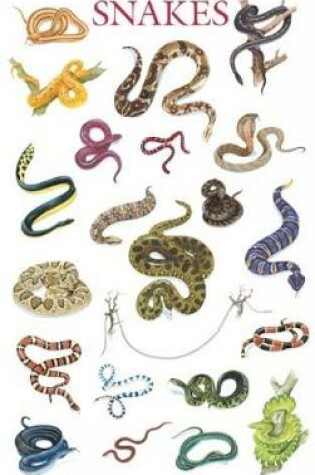 Cover of Snakes Poster