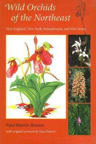 Cover of Wild Orchids of the Northeast