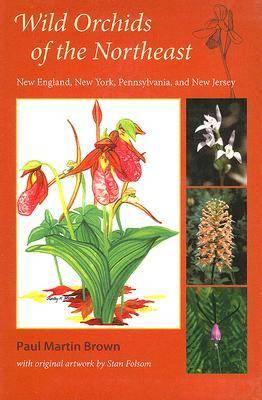 Book cover for Wild Orchids of the Northeast