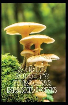 Book cover for A Field Guide To Foraging Mushrooms