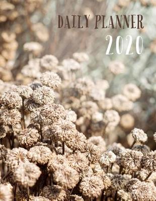 Book cover for Daily Planner 2020