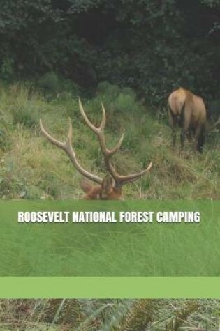 Cover of Roosevelt National Forest Camping