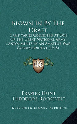 Book cover for Blown in by the Draft