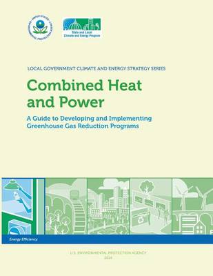 Book cover for Combined Heat and Power