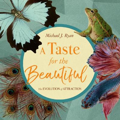 Book cover for A Taste for the Beautiful