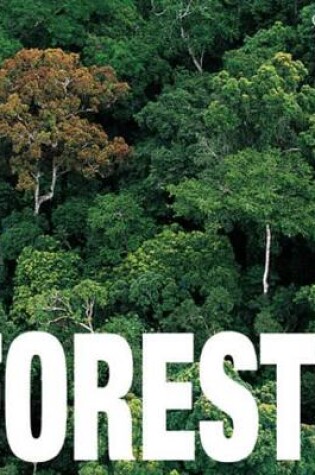 Cover of Forests: Cubebook