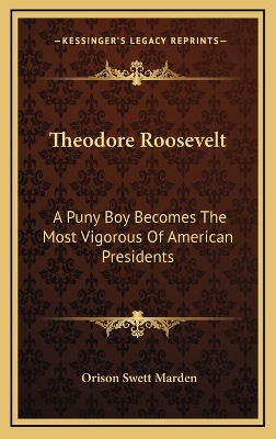 Book cover for Theodore Roosevelt