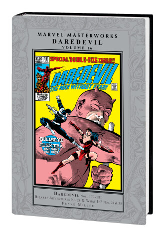 Book cover for Marvel Masterworks: Daredevil Vol. 16