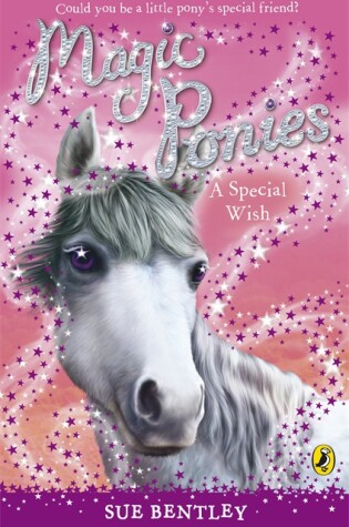 Cover of Magic Ponies a Special Wish