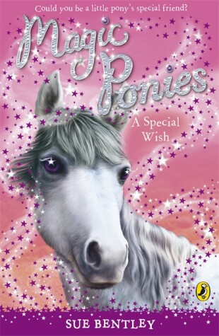 Book cover for Magic Ponies a Special Wish