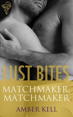 Book cover for Matchmaker, Matchmaker