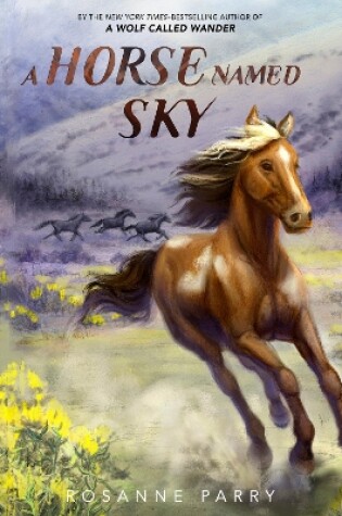 Cover of A Horse Named Sky