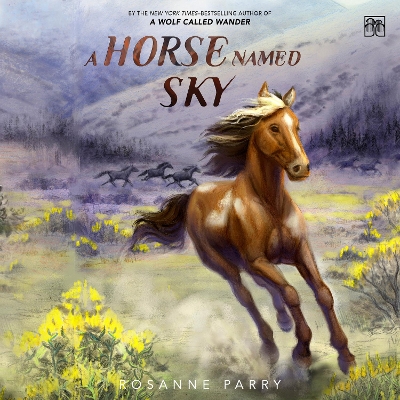 Book cover for A Horse Named Sky